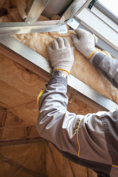 Best Insulation Installation Services in Humboldt Hill, CA