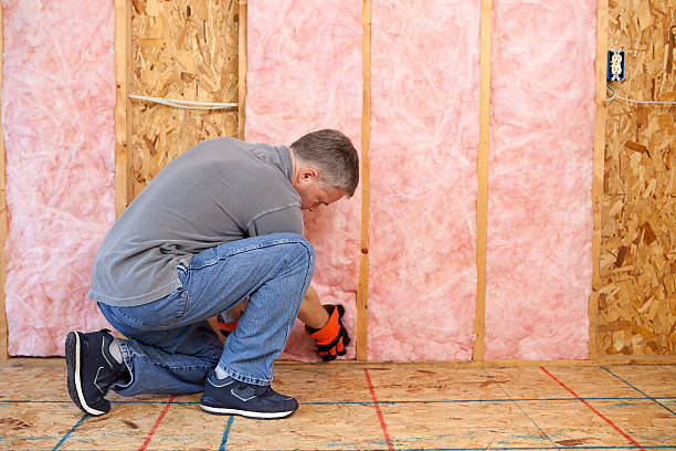 Best Residential Insulation in Humboldt Hill, CA