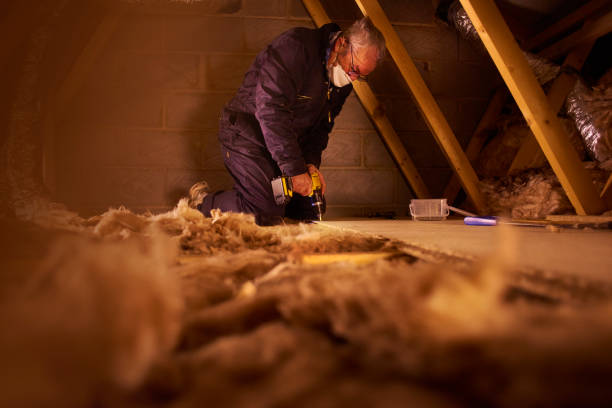 Best Insulation Maintenance and Repair in Humboldt Hill, CA